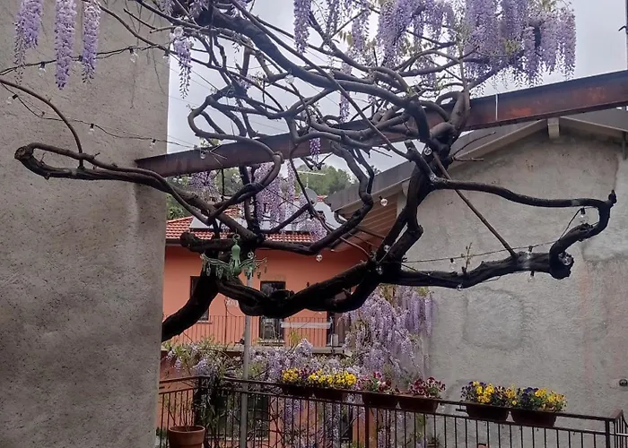 Antico Glicine Lägenhet *