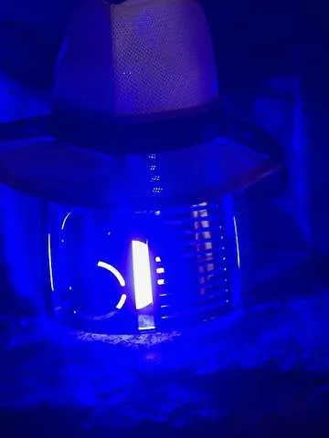 Apartment Antico Glicine Ispra